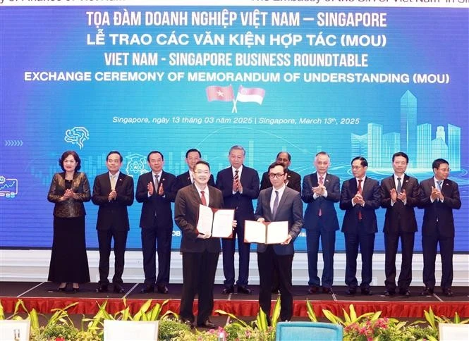 Party General Secretary To Lam (5th from left, second row) witnesses the exchange of MoUs between Vietnam and Singapore at the roundtable discussion on March 13. (Photo: VNA)