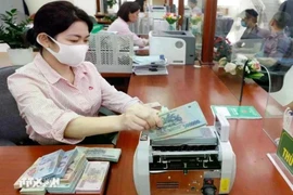 The daily reference exchange rate for the US dollar is set at 25,992 VND/USD on March 10 (Photo: VNA)