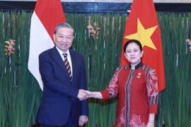 Party General Secretary To Lam (L) meets with Speaker of the People's Representative Council of Indonesia Puan Maharani in Jakarta on March 11. (Photo: VNA