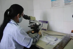 Examining blood samples for rapid Malaria detection in the community at the Khanh Hoa Centre for Disease Control and Prevention. (Photo: Photo: VNA)