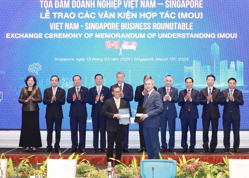 Party General Secretary To Lam and officials witness the exchange of cooperation documents between Vietnamese and Singaporean firms at a business roundtable in the city state on March 13. (Photo: VNA)