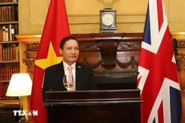 Vietnamese Ambassador to the UK Do Minh Hung. (Photo: VNA)