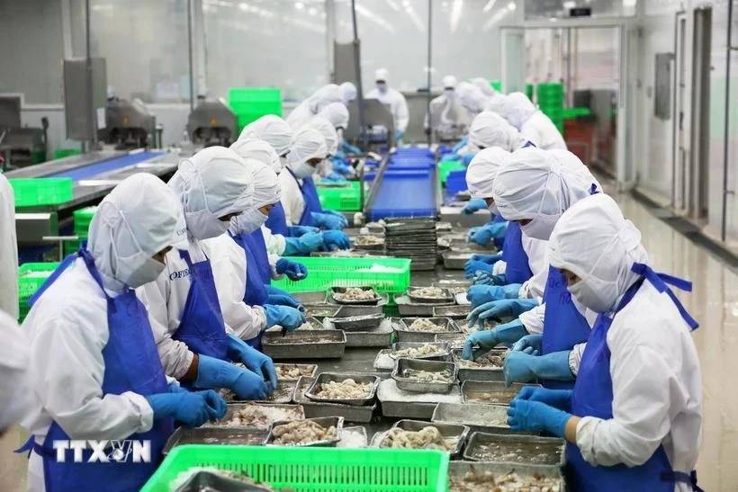 Shrimp processing line for export in Binh Chanh district, Ho Chi Minh City (Photo: VNA)