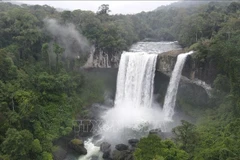 K50 Waterfall - En Cave Waterfall within the Kon Ka Kinh National Park is an ideal destination for tourists who want to experience the mountainous scenery of the Central Highlands. (Photo: VNA)