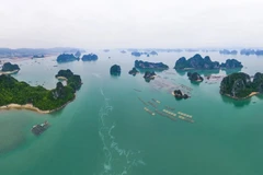 A view of Bai Tu Long Bay (Photo: baoquangninh.vn)