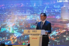 Deputy Prime Minister and Minister of Foreign Affairs Bui Thanh Son speaks at the event (Photo: VNA)