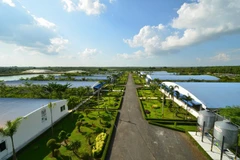 The Loc Ninh farm, operated by CP Vietnam in Binh Phuoc province, is one of the company’s main swine breeding facilities. (Photo: bangkokpost.com) 