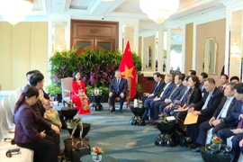 Vietnamese Party chief receives leaders of outstanding firms in Singapore