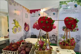 Vietnam makes largest-ever presence at Germany fruit fair