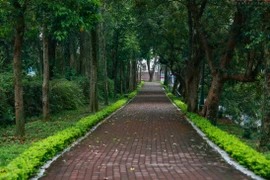 Hanoi to launch new pedestrian zone in Son Tay