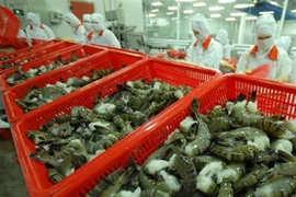 Shrimp exporters look forward to H2 comeback