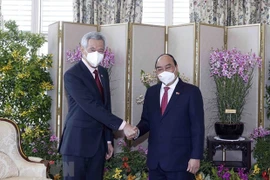 Vietnam, Singapore reach consensus on directions for all-round ties