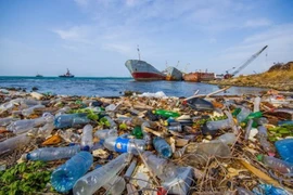 Project launched to further reduce marine plastic waste