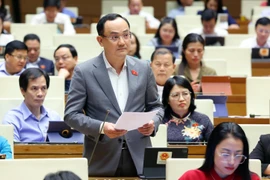 Deputy Nguyen Ngoc Son from Hai Duong province (Photo: VNA)