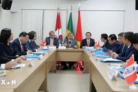 Nguyen Trong Nghia (six from right), Politburo member and Secretary of the Party Central Committee, holds a working session with President of the Democratic Labour Party Carlos Lupin. (Photo: VNA)