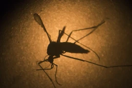 Health ministry on alert after third Zika infection confirmed