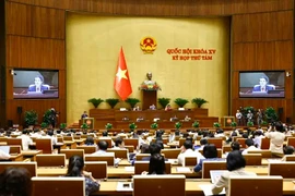 A view of the NA session. (Photo: VNA)