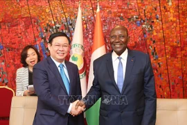 Vietnam, Ivory Coast hold huge cooperation potential: Deputy PM