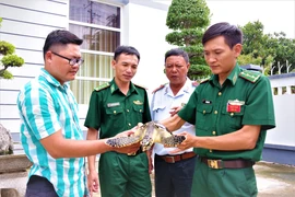 Ba Ria-Vung Tau: Rare sea turtle released into nature