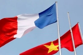 Vietnam-France ties thrive: ambassador