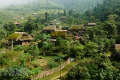 Unique mossy roofs on Tay Con Linh range