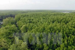 Programme on gas emission and deforestation reduction gets approved