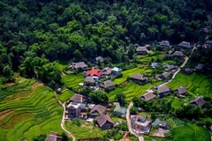 Stunning view of Ha Giang’s natural landscapes in summer 