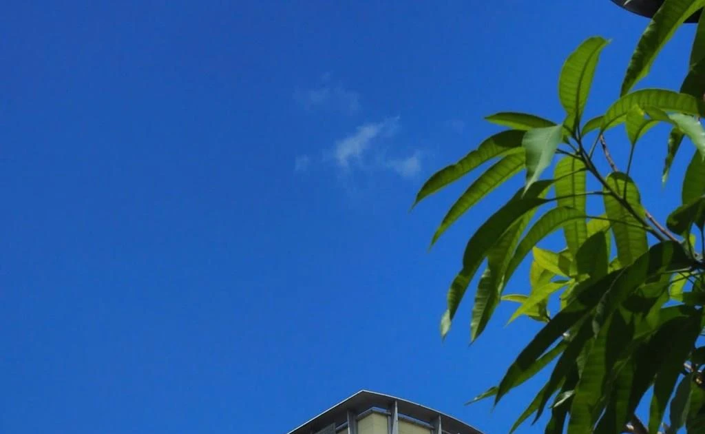 vietcombank-issues-2-trillion-vnd-worth-of-green-bonds-for-first-time