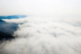 Tourists admire flowers, chase clouds on Moc Chau plateau